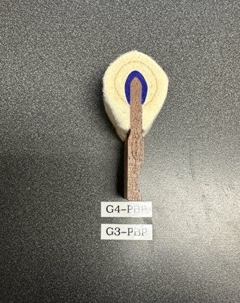 G3 and G4 comparison 5